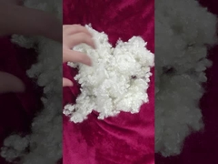 Serat Staple Polyester